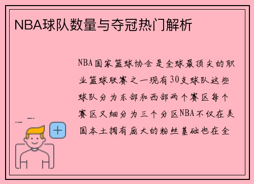 NBA球队数量与夺冠热门解析